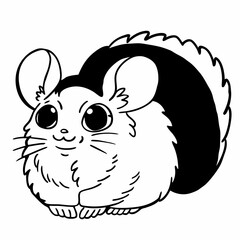 chinchilla illustration