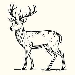 Deer Sketch Drawing Line Art Animal Wildlife