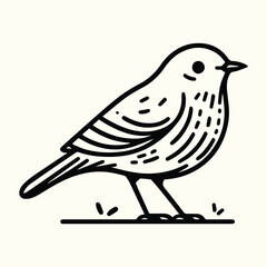 Bird Sketch Drawing Line Art Animal Wildlife