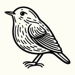 Bird Sketch Drawing Line Art Animal Wildlife
