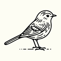 Bird Sketch Drawing Line Art Animal Wildlife