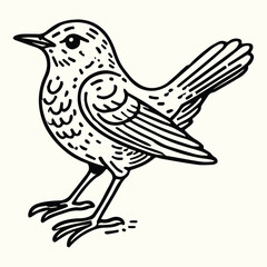 Bird Sketch Drawing Line Art Animal Wildlife