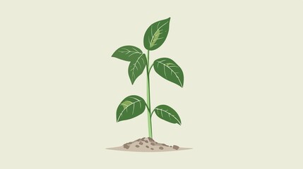 Green Young Plant Vector Illustration on White Background