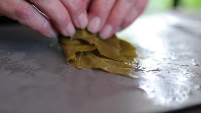 People cook dolma food.
Grape leaves stuffed with minced meat.