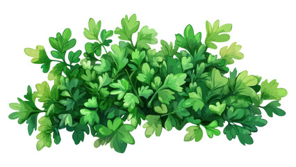 Obraz premium Fresh Green Parsley Sprigs Culinary Herb Bunch Isolated White Background Detailed Illustration