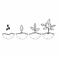 This pixel design illustrates a hand-drawn sketch of a step-by-step process of a plant's growth, symbolizing development, nurturing, and the stages of life.