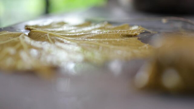 People cook dolma food.
Grape leaves stuffed with minced meat.