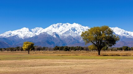Snow-capped Mountain Range
