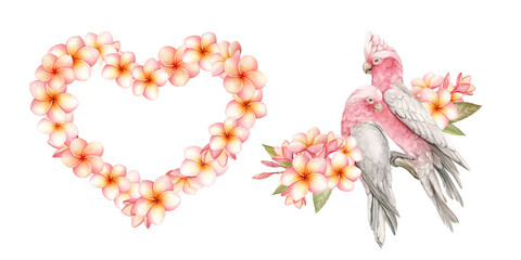 Romantic birds with pink flowers for decoration on Valentine's Day. Pink Galah parrots and tropical flowers in floral compositions. Frame in the shape of a heart. Watercolor, isolated