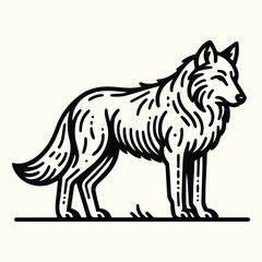 Wolf Sketch Drawing Line Art Animal Wildlife
