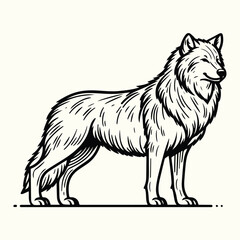 Wolf Sketch Drawing Line Art Animal Wildlife