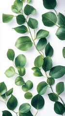 Obraz premium Elegant green leaf branch on a light background showcasing nature's beauty and simplicity