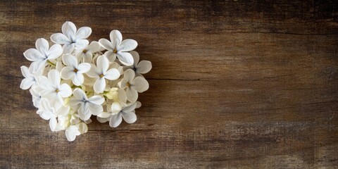 White lilac flowers arranged on a dark aged oak table with ample copy space on the right side and a warm floral ambiance in the background