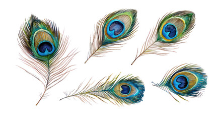 Obraz premium Vibrant Watercolor Collection Generative AI