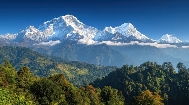 Majestic snow-capped Himalayan mountains rising above lush green valleys under a clear blue sky.