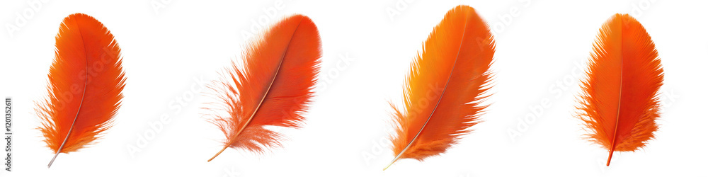 Aufkleber vibrant orange feathers floating softly in the air against a plain white background creating a beaut