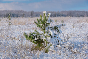 A frosty winter morning in Russia
