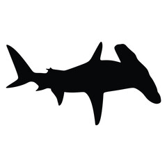 Hammerhead shark, vector