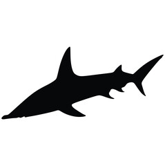 Hammerhead shark, vector