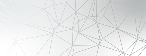 Geometric background with a modern style. The background is light gray with a subtle gray texture. Abstract lines enhance the background. Modern abstract geometric minimal background vector