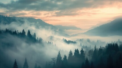 Obraz premium Foggy mountain forest with layered trees and soft blue tones, evoking mystery and tranquility, perfect for travel, outdoor, and environmental campaign themes..