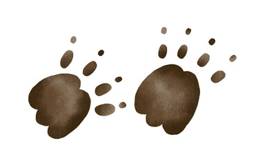Bear Foot print, step track. Paw imprint hand drawn isolated illustration. Wild animals