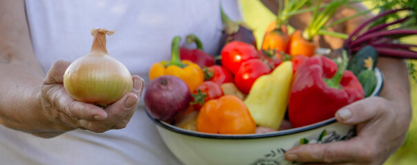 Woman holding bowl of fresh vegetables, harvesting in garden