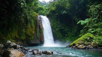 Tropical Waterfall Cascading into Lush Rainforest Pool