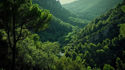 Lush green forest landscape with mountains and a small lake in the valley