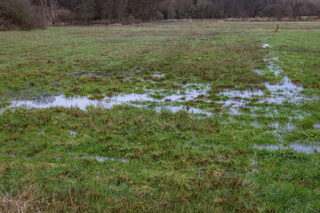 Normandy, France, Europe : Exterior photo view water floods due to climate change in fields...