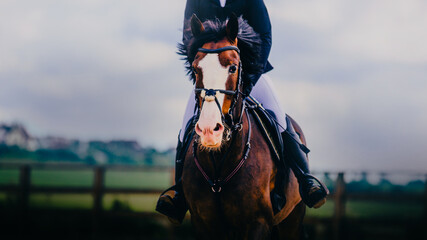 A portrait of a beautiful horse with a rider on its back, galloping at full speed during a sports competition on a summer day with clouds in the sky.