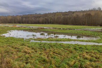 Normandy, France, Europe : Exterior photo view water floods due to climate change in fields creating damage disaster in agriculture environement