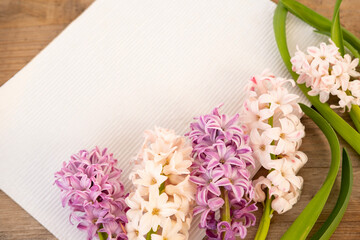 Spring floral Blooming hyacinths background for Easter, Mother's Day, or greeting cards, blank...
