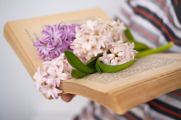 Spring still life with book and hyacinths flowers, Springtime floral arrangement on natural wood texture, Spring floral background for Easter, Mother's Day, or greeting cards
