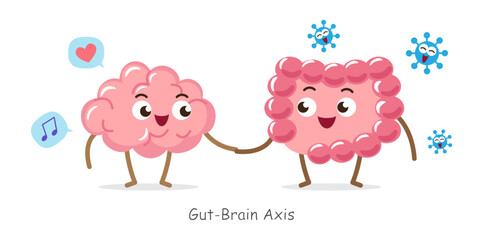Gut-brain axis . Cartoon character of human brain and intestine . Concept about prebiotics and probiotics relate with brain function . Vector .