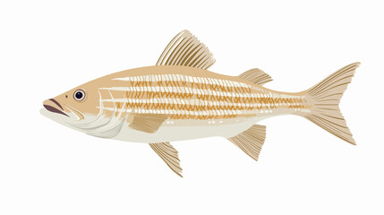 Bonefish Isolated Flat Vector Illustration on White Background for Design Projects
