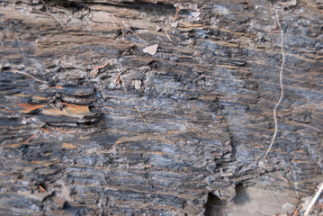 Smooth natural stone with unique light-veined cracks