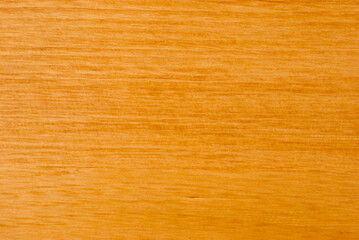 Light brown wood texture. Abstract background texture of the wood