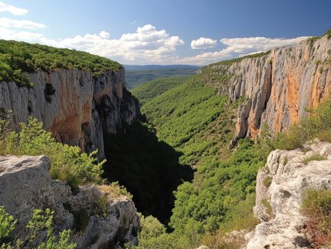 A stunning view of a deep canyon with rocky cliffs and lush green vegetation under a bright blue sky with white clouds - Powered by Adobe