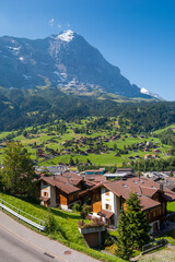 Obraz premium The picturesque Swiss town of Grindelwald. Traditional wooden chalets in summer, in front of the North side of the Eiger mountain, surrounded by bright green pastures