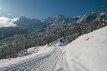 A snowy day at a ski resort in Sochi, Russia.