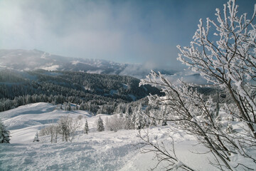 A snowy day at a ski resort in Sochi, Russia.
