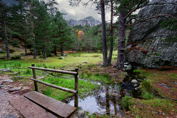 Arroyo en la Pradera de la Laguna Negra
