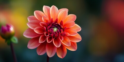 A flower, often referred to as a bloom or blossom, serves as the reproductive structure in flowering plants, showcasing the beauty and diversity of flowers in nature. Flowers play a crucial role in