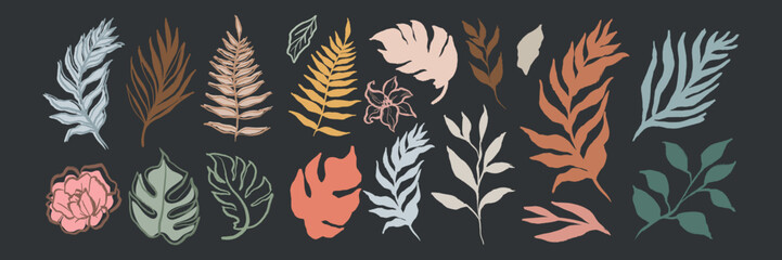 Colorful leaf illustrations on a dark background. Includes various leaf shapes and colors. Botanical art with diverse leaf designs and vibrant colors. Aesthetic hand drawn nature element vector set.