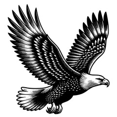 Eagle Illustration
