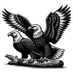 Fototapeta premium Eagle Illustration