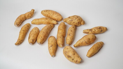Group of fresh local raw honey sweet potatoes isolated on white background.