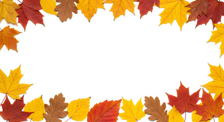 frame made of leaves