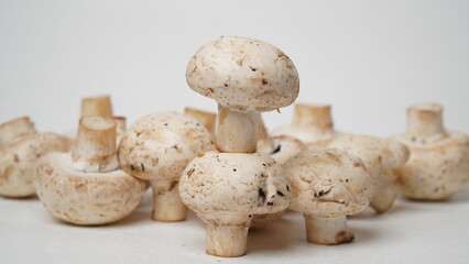 Fresh champignons mushroom isolated on white background